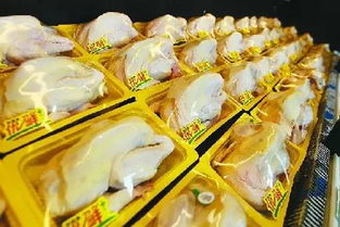 市区34个肉菜市场纳入活禽限制区，年底起买卖活禽最高罚款5万元