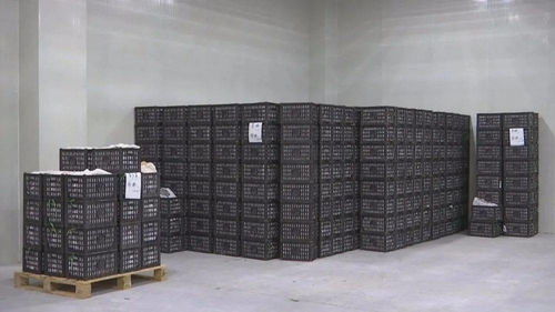 韶关家禽购销新市场开业 二十年水果批发市场迁址通知