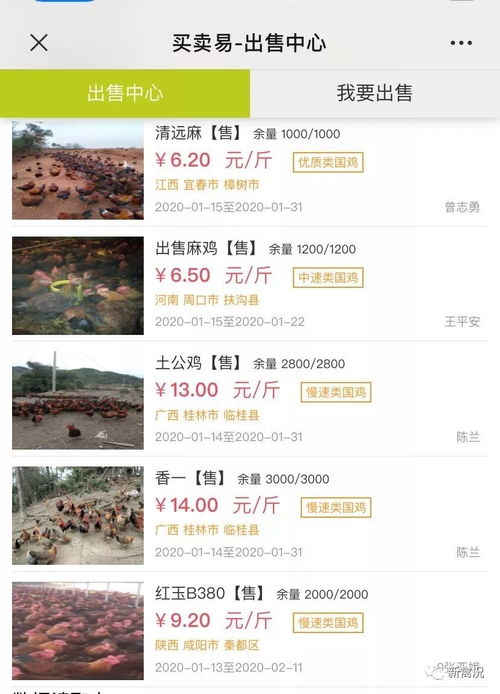 鸡价触底反弹，快速类国鸡一周上涨2毛6，家禽购销市场分析