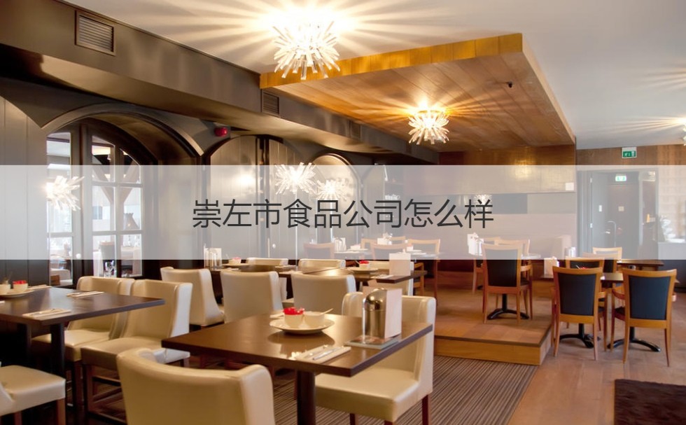 崇左市食品公司及其屠宰与家禽购销业务考察